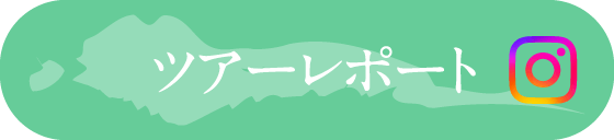 ツアーレポート