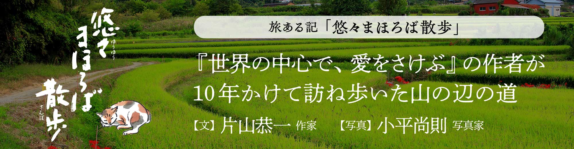 「セカチュー」作家・片山 恭一 悠々まほろば散歩